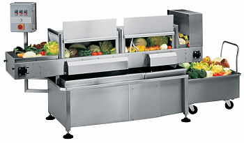CONVEYOR VEGETABLE WASHER,300/800KG/H (Code 660068)